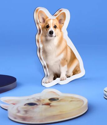 kaufen HAPPY GIFT Kundenspezifische Herstellung Haustierdesign Acryl Kühlschrankmagnet Niedliche Anime-Individualisierung Holografischer Plastikaufkleber online manufacture