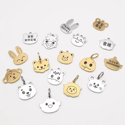 Custom Hard Enamel Schlüsselanhänger mit Gold/Silberbeschichtung und Sandblast Rückseite für Werbezwecke